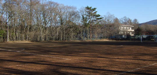 �R���΁@�V�R��