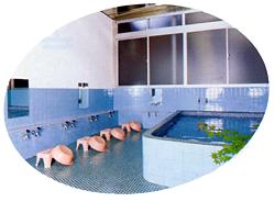 �R���΁@�x�m��