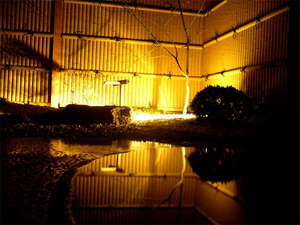 �R���΁@���쉮����