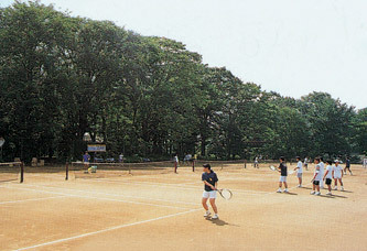 �R���΁@���쉮����