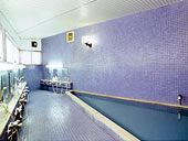 �R���΁@�O���[�v�C���ق�̂�