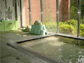 �R���΁@�b��H��