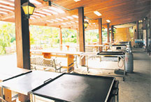 �R���΁@�X�y�����U�ې�