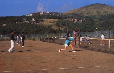 �R���΁@�V�F���A�j���[���Ƃ�