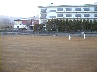 �R���΁@�v���U�z�e��