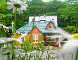 �R���΁@�y���V�����X�e�b�v�n�E�X