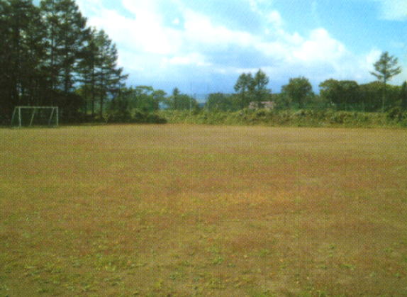 �R���΁@�e�j�X�t�����h