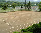 �R���΁@�E�F���J���΂Ɗ\