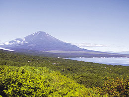 �R���΂��猩����x�m�R