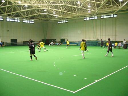 �R�����������ߍ��h�̕x�m�R�A���[�i