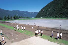 �z�㓒�򗤏㋣�Z��