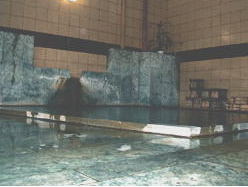 �ɓ���������@��ϑ�