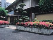 伊豆長岡温泉 大観荘