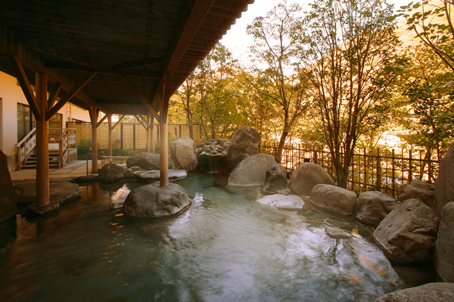 �쎡���� �h���`���@�I�V���C