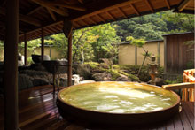 �֒�M�C���� �z�e���؂̓��@�I�V���C