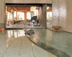 �z�㓒�򉷐� ����t�@�Ԍ��@�嗁��