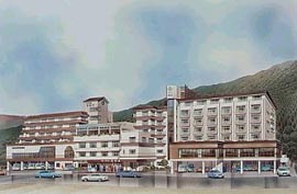 �ɍ��ۉ���@�z�e�����ނ�