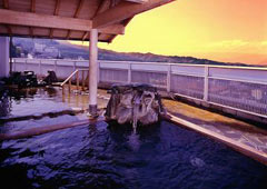 �ɍ��ۉ��� �z�e�����{�O�@�I�V���C