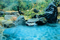 ���R����@���R�p�[�N�z�e���V����