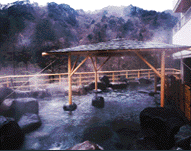 �I�V���C �j���p