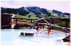 �W�]�I�V���C�w�Ɋy���x