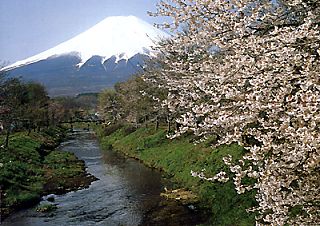 �E�씪�C����x�m�R��]��