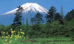 �n�����~����