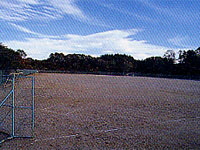 �򑺃W���S���m�^����