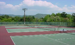 ���Α��c�e�j�X�R�[�g