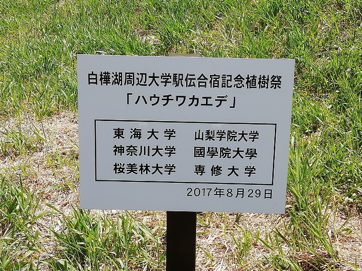 大学駅伝６大学