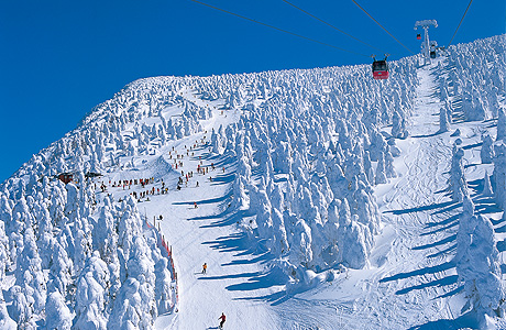 ��������X�L�[��