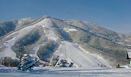 ���������X�L�[��