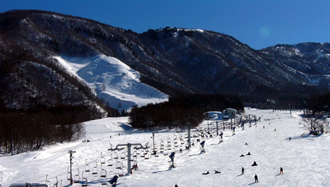 �k�u�ꗳ���X�L�[�p�[�N