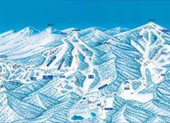 �u�ꍂ���X�L�[�p�[�N